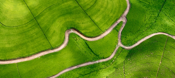 Green pastures and winding roads landscape