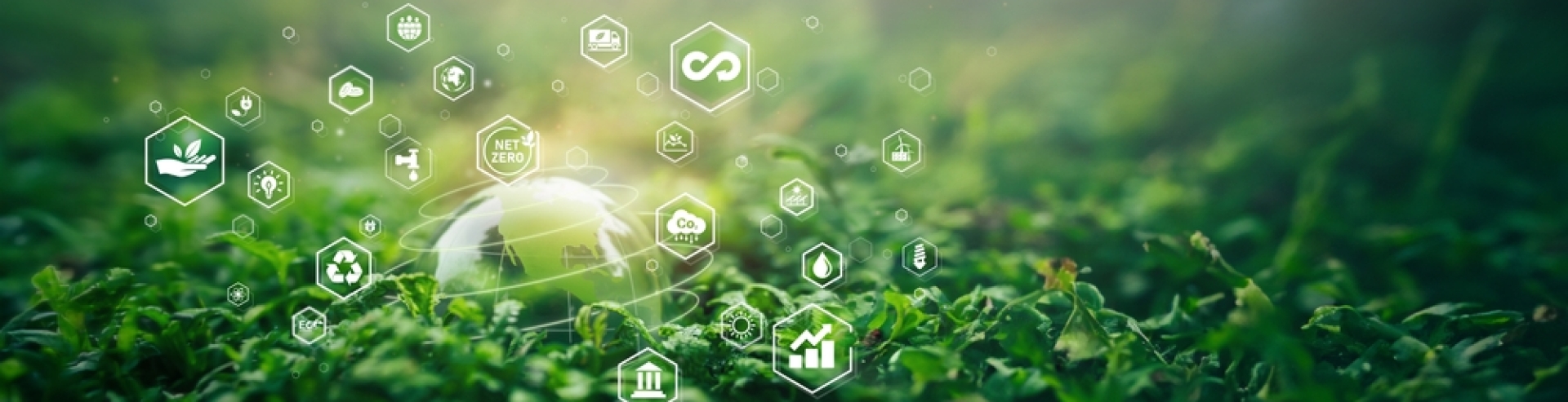 Environment. Crystal ball on moss in green forest. there is a symbolic icon Inclusive Environment, Ecology, Earth Day, Forest Conservation, CSR, ESG, NET ZERO