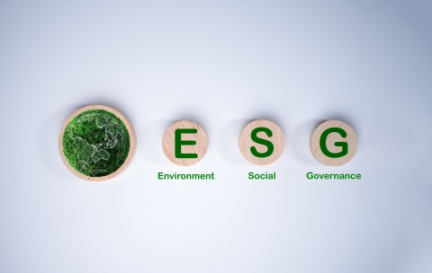 A circular wooden board with the abbreviation ESG printed on a light white background