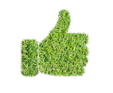 Green grass thumbs up